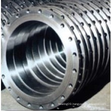 Detailed Technical Information for Rotek Slewing Bearing (L9-49N9Z)